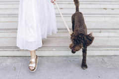 Qué características amigables para los pies buscar en tus sandalias de verano